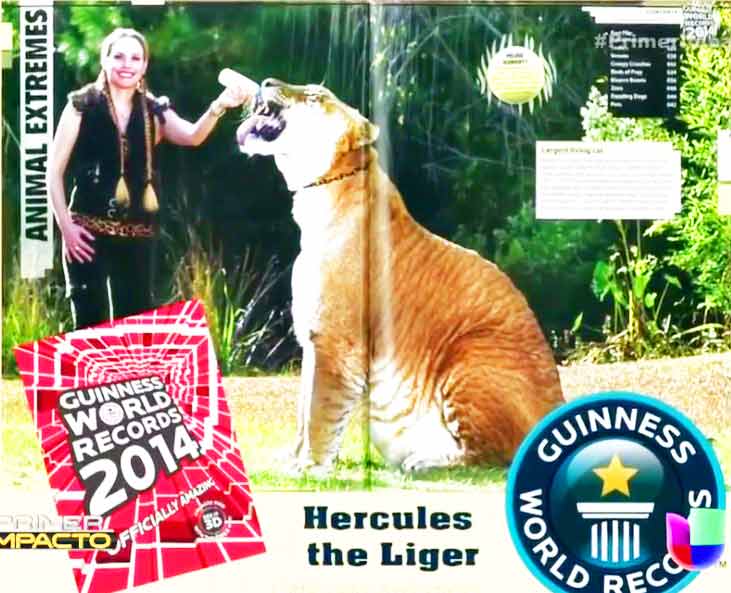 Myrtle Beach Safari Liger Zoo has also appeared within Guinness Book of World Records as well.
