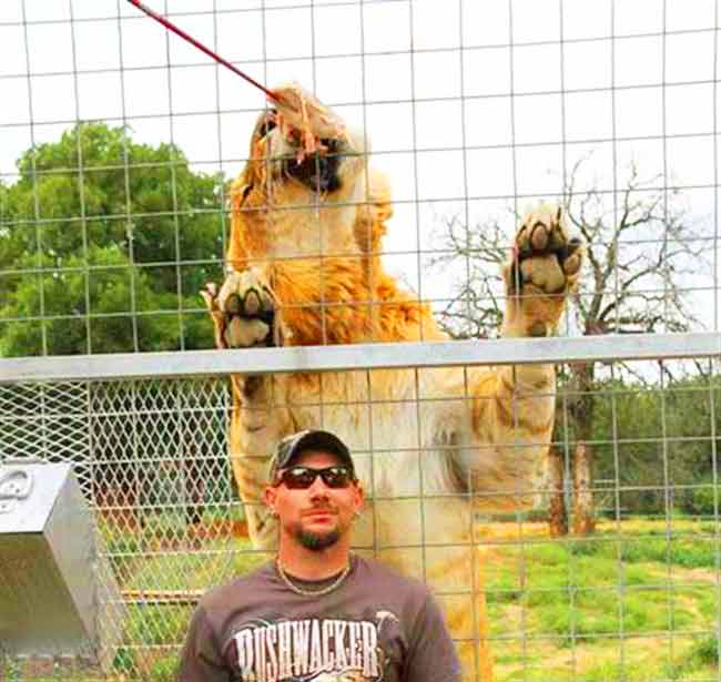 Liger Zoo Garold Wayne Zoo at Oklahoma, USA. 