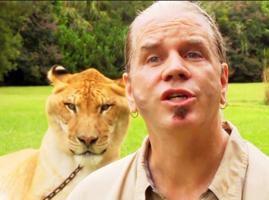 Liger Zoo Dr. Bhagavan Antle at Myrtle Beach Safari. 