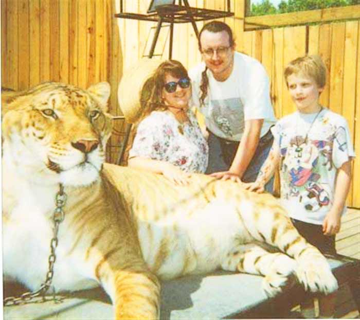 Liger Zoo Ren Faire Virginia